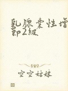 乳腺囊性增生结节2级