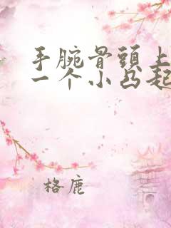 手腕骨头上长了一个小凸起质地硬