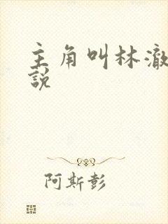 主角叫林澈的小说