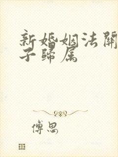 新婚姻法关于房子归属