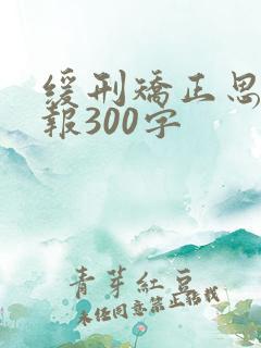 缓刑矫正思想汇报300字