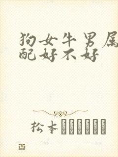 狗女牛男属相婚配好不好