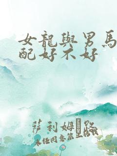 女龙与男马的婚配好不好