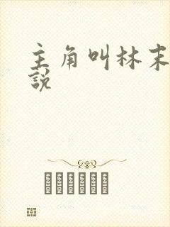 主角叫林末的小说