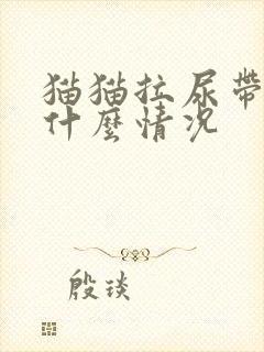 猫猫拉尿带血是什么情况