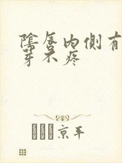 阴唇内侧有小肉芽不疼