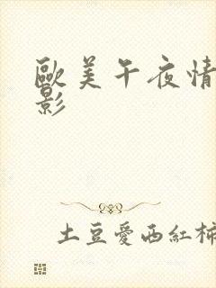 欧美午夜情色电影