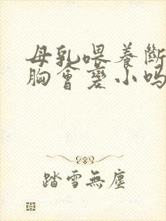 母乳喂养断奶后胸会变小吗