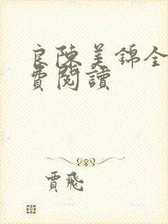 良陈美锦全文免费阅读