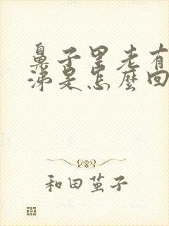 鼻子里老有干鼻涕是怎么回事