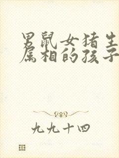 男鼠女猪生什么属相的孩子好