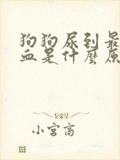 狗狗尿到最后有血是什么原因