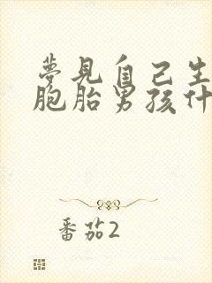 梦见自己生了双胞胎男孩什么预兆