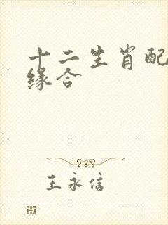 十二生肖配对姻缘合