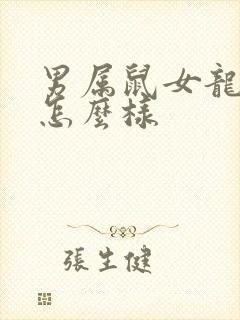 男属鼠女龙婚配怎么样