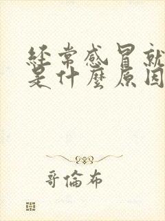 经常感冒就鼻塞是什么原因