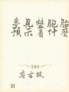 梦见双胞胎男孩预示着什么