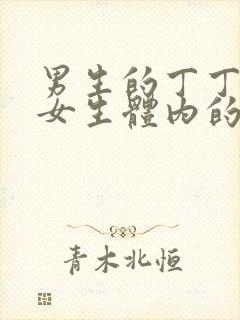 男生的丁丁插入女生体内的视频