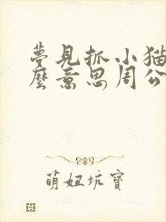 梦见抓小猫是什么意思周公解梦