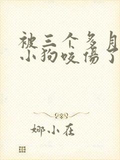 被三个多月大的小狗咬伤了怎么办