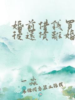 婚前借钱买房婚后还债离婚怎么分