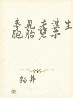 梦见老婆生了双胞胎儿子