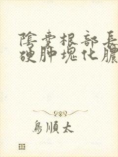 阴囊根部长了个硬肿块化脓