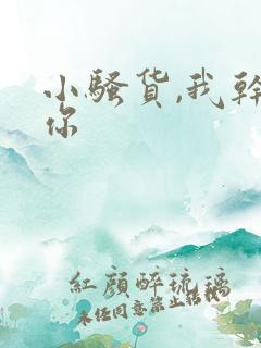 小骚货,我干死你