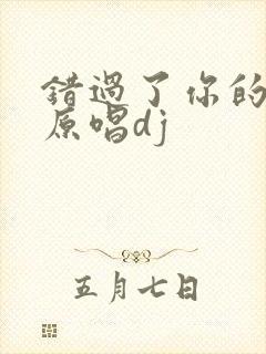 错过了你的温柔原唱dj