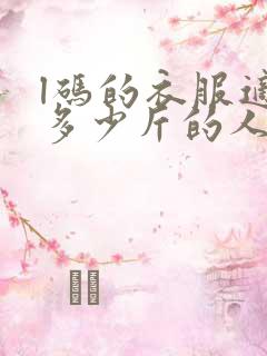 l码的衣服适合多少斤的人穿