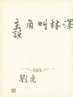 主角叫林泽的小说