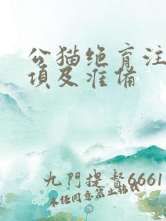 公猫绝育注意事项及准备