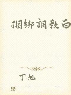 捆绑调教白丝袜