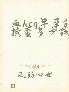 血hcg早孕的检查多少钱