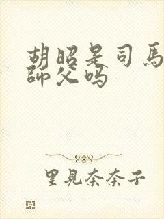 胡昭是司马懿的师父吗