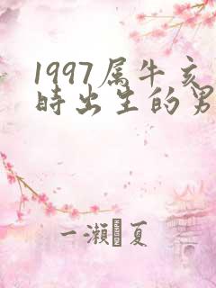 1997属牛亥时出生的男孩命运