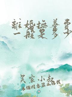 离婚抚养费标准一般是多少钱一个月