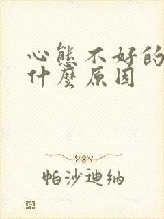 心态不好的人是什么原因