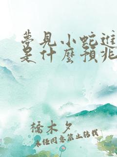 梦见小蛇进屋里是什么预兆