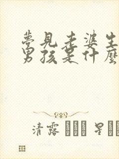 梦见老婆生了个男孩是什么预兆