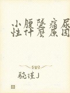 小腹坠痛尿频女性什么原因