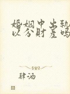 婚姻中出轨方可以分财产吗