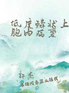 低度鳞状上皮细胞内病变