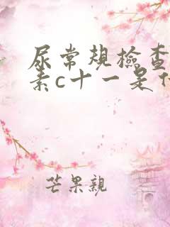 尿常规检查维生素c十一是什么意思