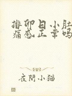 排卵日小肚子坠痛感正常吗