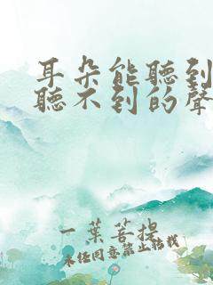 耳朵能听到别人听不到的声音