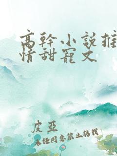 高干小说推荐言情甜宠文