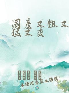 国产又粗又黄又猛又爽