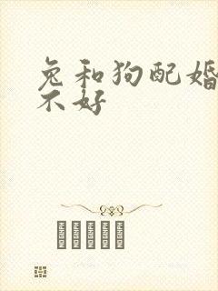 兔和狗配婚姻好不好