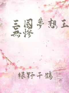 三国梦想王元姬无惨